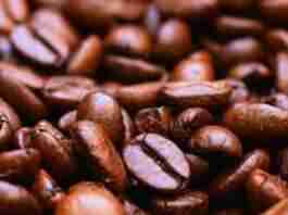 Safra de café deve cair 20% neste ano, aponta Conab. Foto: EBC