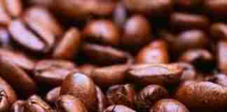 Safra de café deve cair 20% neste ano, aponta Conab. Foto: EBC