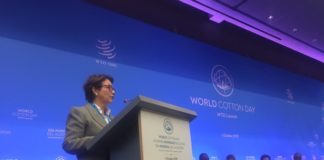 Ministra diz que organização é fundamental para comércio internacional justo. Ministra discursou na sessão plenária de alto nível do World Cotton Day