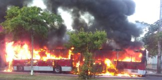 Veículo da empresa Viva Sul foi consumido pelo incêndio | Foto: Reprodução/Jornalismo RecordTV