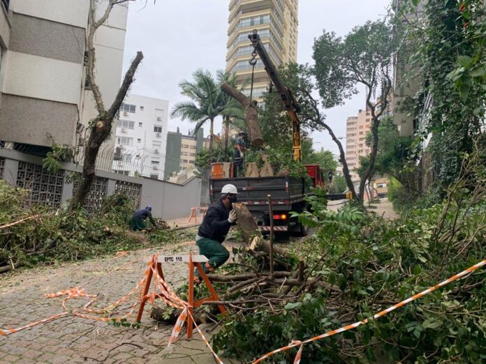 Travessa Dante Sfoggia, no bairro Bela Vista, foi uma das vias bloqueadas por ventania em Porto Alegre | Foto: Alina Souza/Correio do Povo