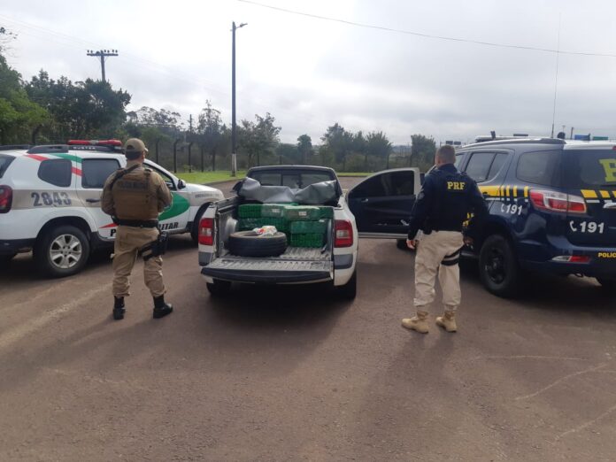 Carga de maconha foi apreendida na BR-101 em Torres | Foto: Divulgação/PRF