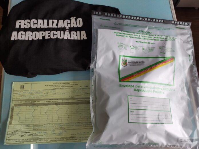 Envelopes com sementes desconhecidas foram apreendidos pela fiscalização da Secretaria da Agricultura | Foto: Divulgação/Seapdr