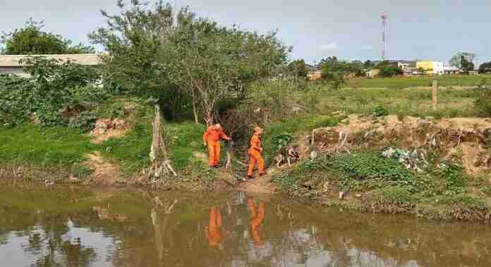 Buscas foram realizadas nas margens do riacho em Alvorada | Foto: Divulgação/CBMRS