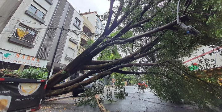 Chuvarada de quinta-feira provoca inúmeras quedas de árvore e deixa bairros  da capital sem energia - REDE JOTA FM