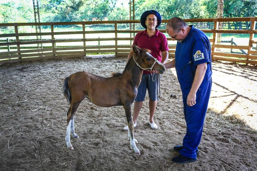 Cena Gospel: O Clube dos Detetives e o rapto dos animais de estimação