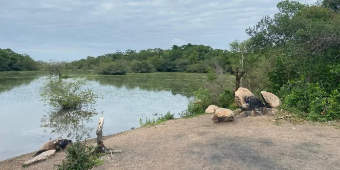 mata porto alegre