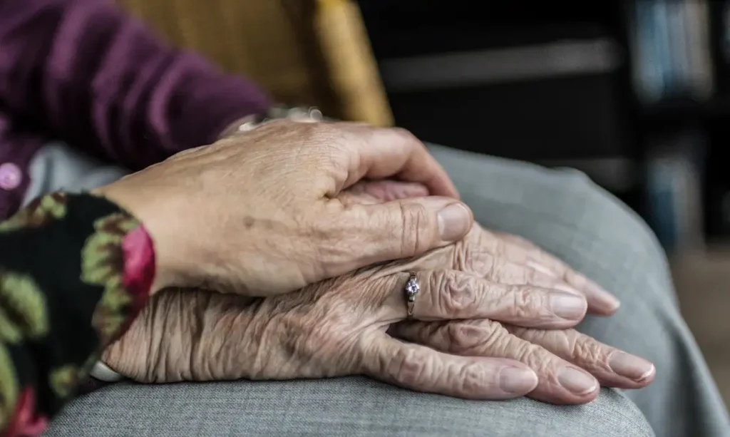 A imagem atual não possui texto alternativo. O nome do arquivo é: hands-2906458.webp
