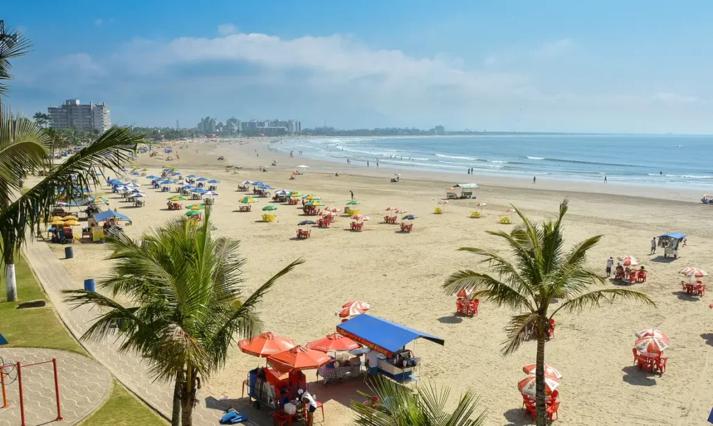A imagem atual não possui texto alternativo. O nome do arquivo é: praia-da-enseada_diego-bachiega.webp