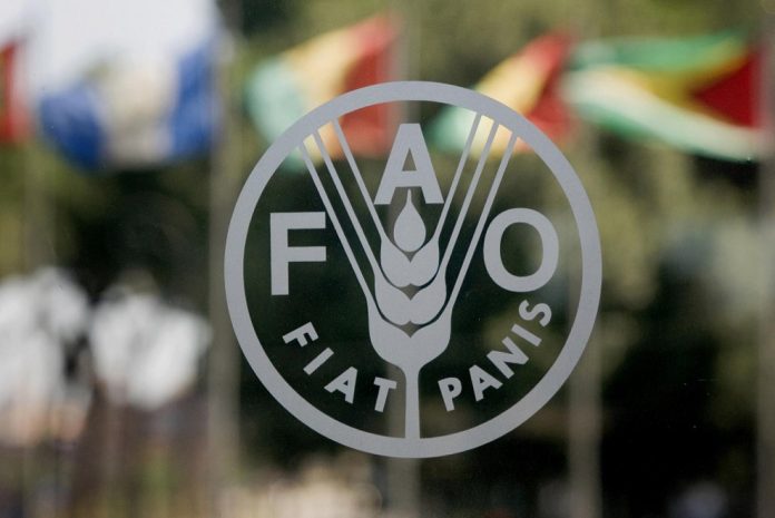 FAO