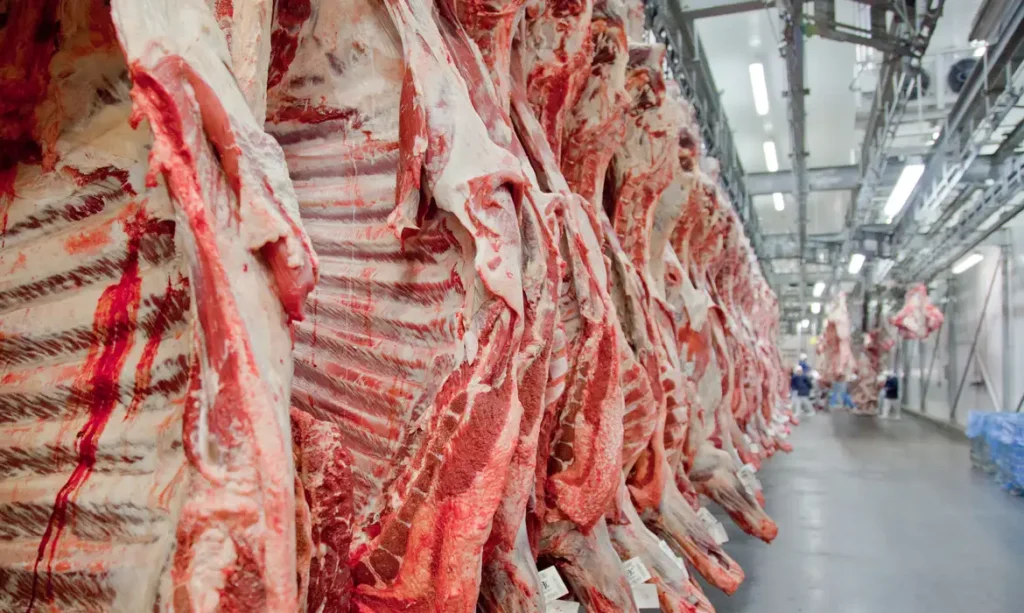 A imagem atual não possui texto alternativo. O nome do arquivo é: carne2.webp