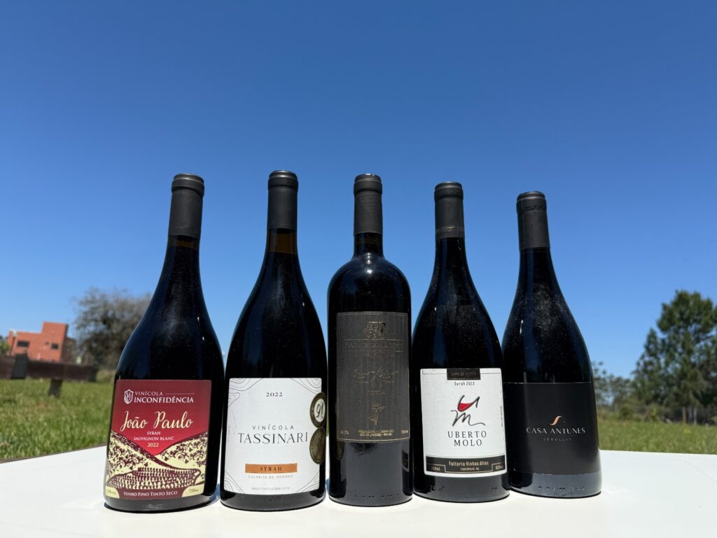A imagem atual não possui texto alternativo. O nome do arquivo é: Degustacao-de-Vinhos.jpeg