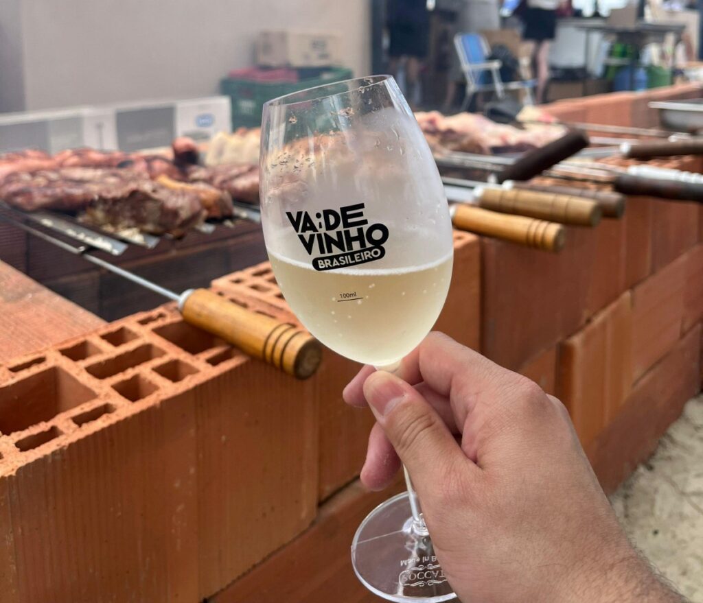 A imagem atual não possui texto alternativo. O nome do arquivo é: Paleta-Vinho-e1769167502286.jpg