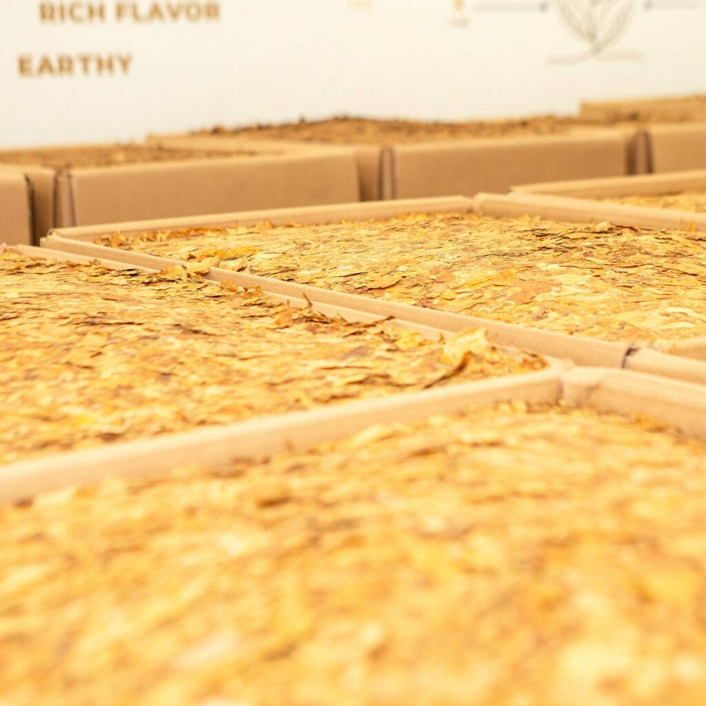 A imagem atual não possui texto alternativo. O nome do arquivo é: Tabaco.jpg