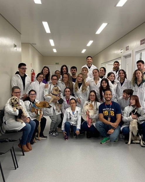 Alunos da Clínica Veterinária Escola da Universidade La Salle, em Canoas - Foto: Divulgação / @medvetunilasalle